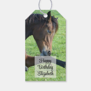 Étiquettes-cadeau Joli Cheval Brown allongé dans l'herbe Anniversair