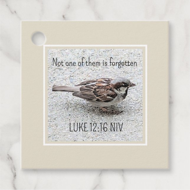 Étiquettes Cadeau Joli Oiseau Bruant Photo Bible Verse Simple Tan (Devant)