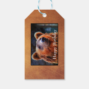 Étiquettes-cadeau Joyeux anniversaire Brown Ours Portrait Faune Phot