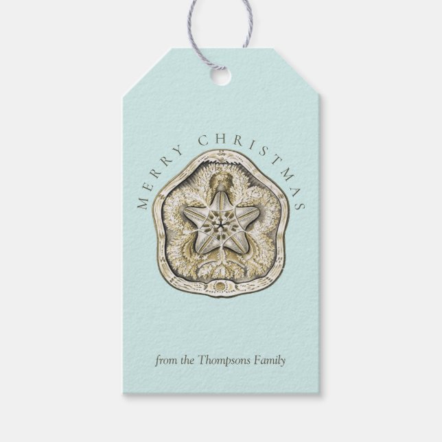 Étiquettes-cadeau Joyeux Noël Dollar de sable Turquoise Côte (Devant)