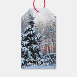 Étiquettes-cadeau Joyeux Noël ! 'Tis la saison ! '