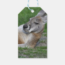 Kangaroo à dos