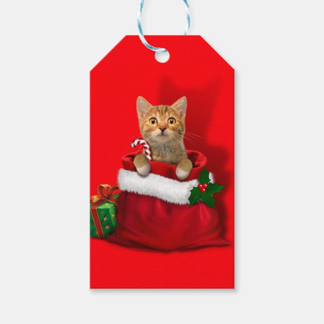 Étiquettes-cadeau Kitty (Devant)