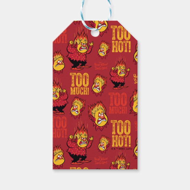 Étiquettes-cadeau L'ANNÉE SANS Motif SANTA CLAUS™ Heat Miser (Devant)