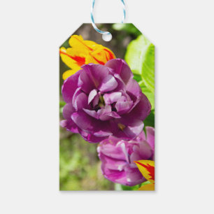 Étiquettes-cadeau Lilac tulipes sur une journée ensoleillée