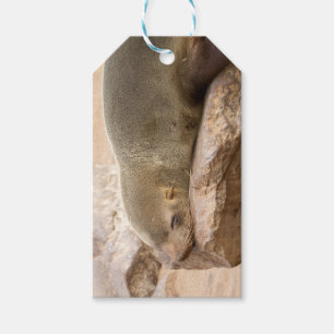Étiquettes-cadeau Lion de mer