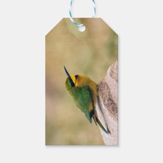 Étiquettes-cadeau Little Bee-Eater (Devant)