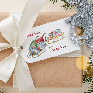 Étiquettes-cadeau Livraison spéciale Gnomes de Noël du pôle Nord