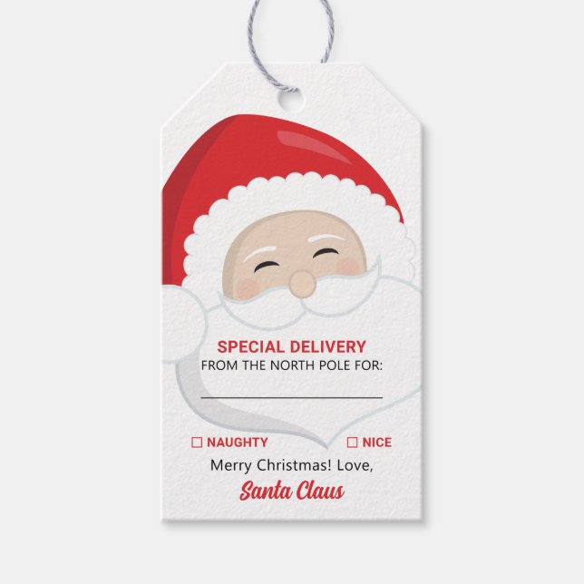 Étiquettes-cadeau Livraison spéciale Santa Claus Christmas Cadeaux T (Devant)