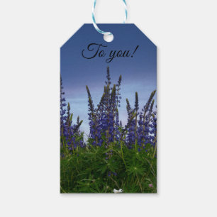 Étiquettes-cadeau Lupins