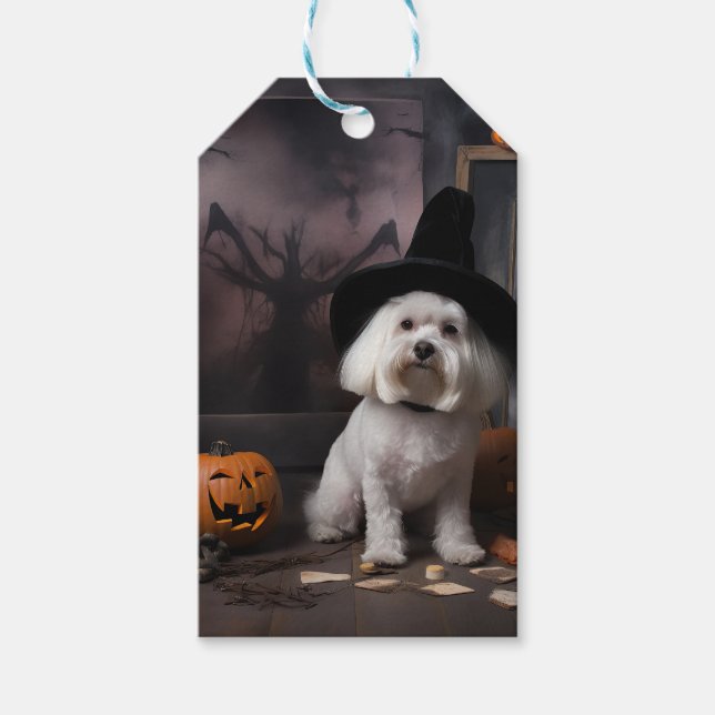Étiquettes-cadeau Maltais Citrouille Halloween effroi (Devant)
