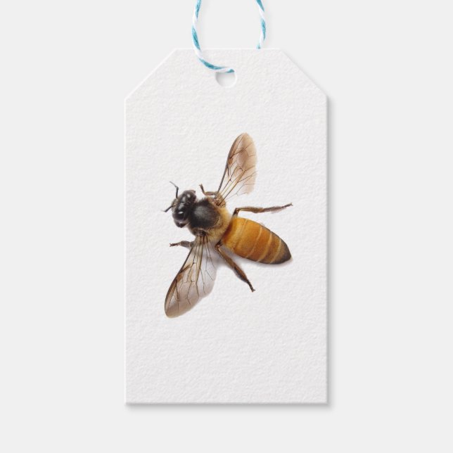 Étiquettes-cadeau Miel Bee (Devant)