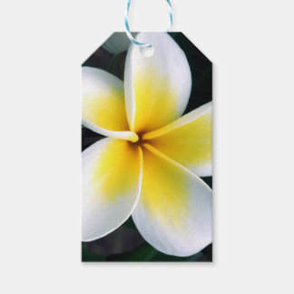 Étiquettes-cadeau Mots clés Floral