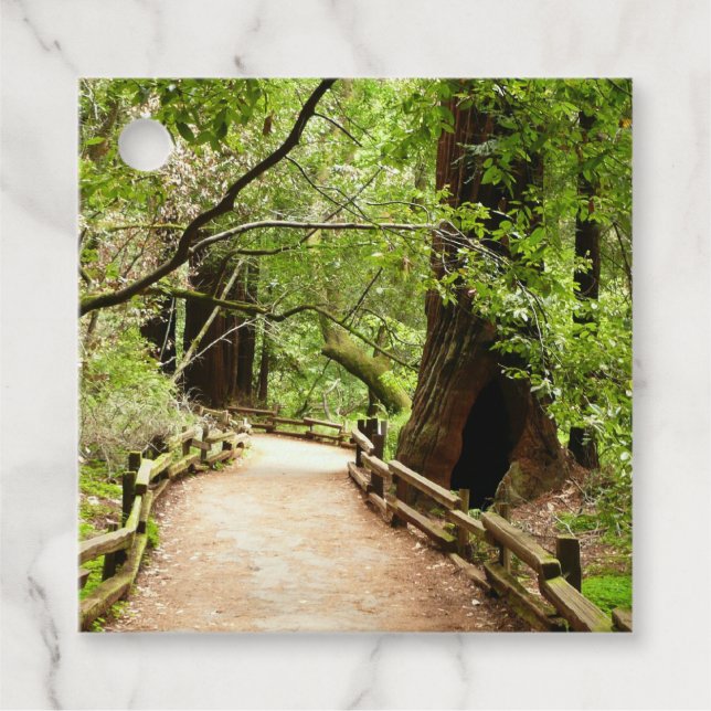 Étiquettes Cadeau Muir Woods Path II Nature Photography (Devant)