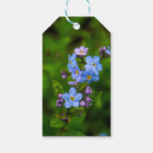 Étiquettes-cadeau Myosotis des marais sous la pluie