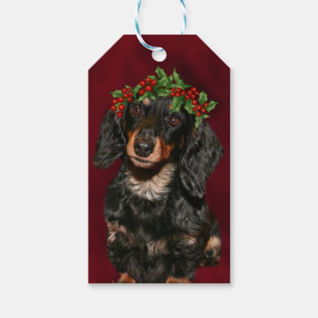 Étiquettes-cadeau Noël Dachshund (Devant)