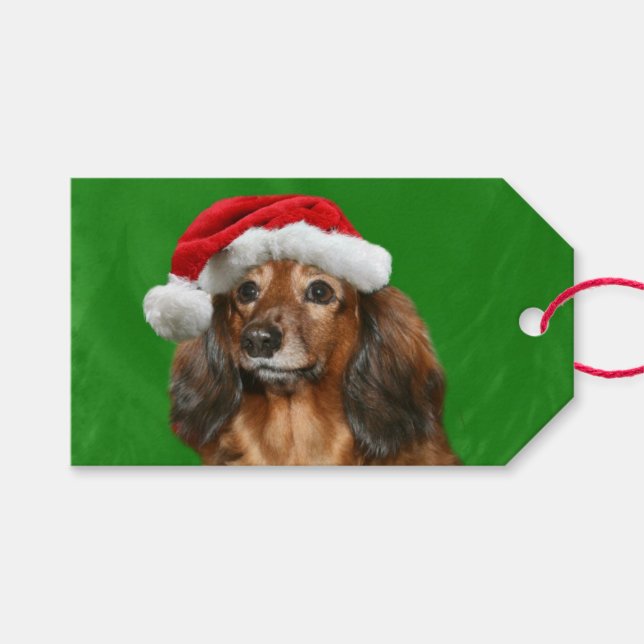Étiquettes-cadeau Noël Dachshund (Devant (Horizontal))