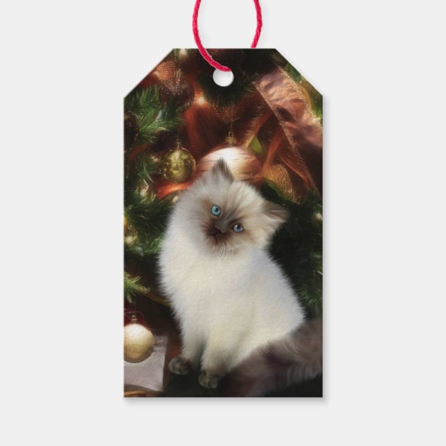Étiquettes-cadeau Noël des chats de l'Himalaya (Devant)