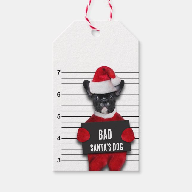 Étiquettes-cadeau Noël Drôle Mugshot Mauvais Chien Père Noël (Devant)