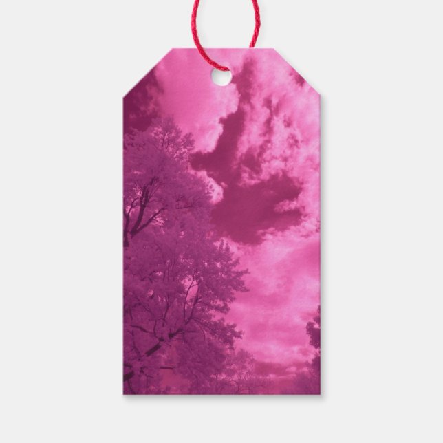 Étiquettes-cadeau Nuage infrarouge Pinkish Hues (Devant)