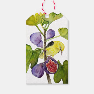 Étiquettes-cadeau Oiseau jaune vibrant avec figues violettes aquarel