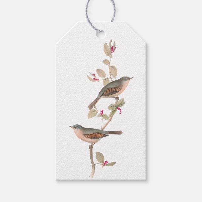 Étiquettes-cadeau Oiseaux d'hiver élégants sur une branche avec baie (Devant)