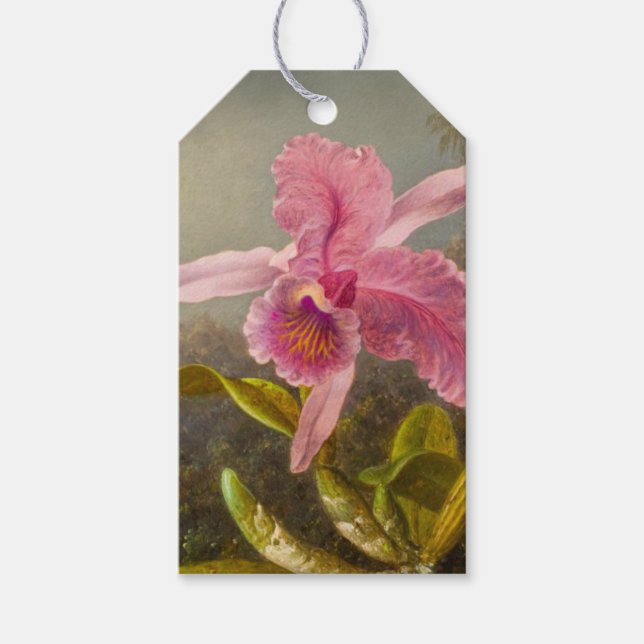 Étiquettes-cadeau Orchidée avec deux colibris Heade (Devant)