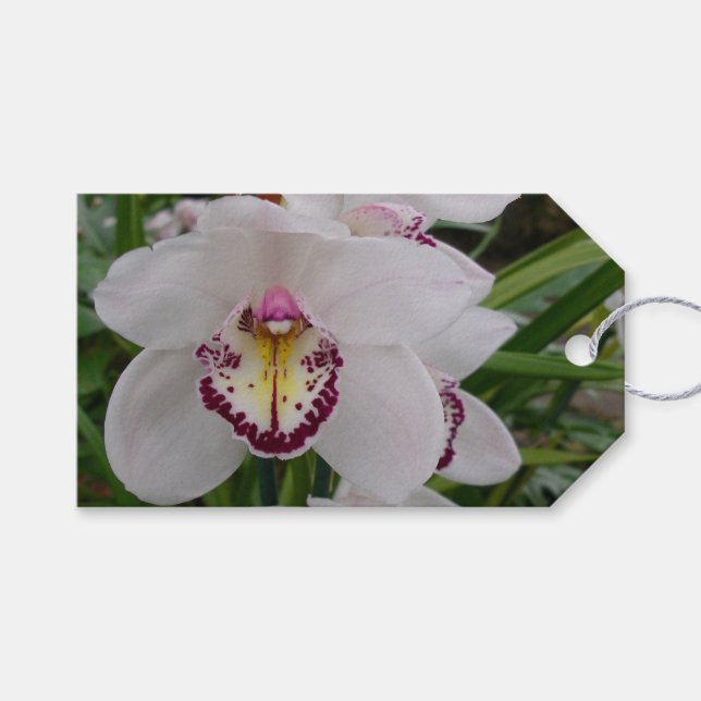 Étiquettes-cadeau Orchidée blanche II Élégante florale (Devant (Horizontal))