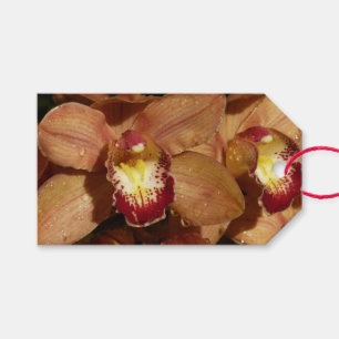 Étiquettes-cadeau Orchidées de Pêche avec Raindrops Floral