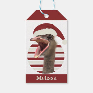 Étiquettes-cadeau Ostrich de Noël joyeux avec chapeau de Père Noël