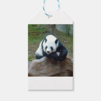 Étiquettes-cadeau Ours de panda chinois