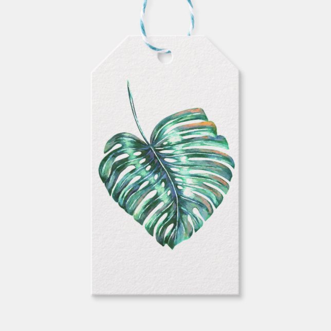 Étiquettes-cadeau Palmier à feuilles de monstère vert tropical (Devant)