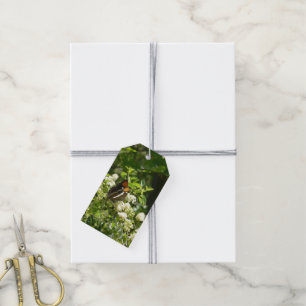 Étiquettes-cadeau Papillon-soeur de Californie en Yosemite