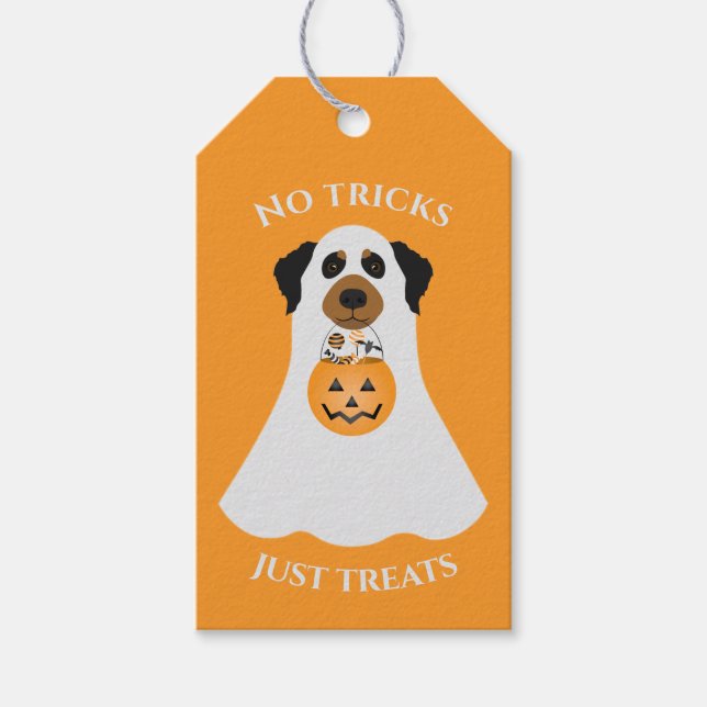 Étiquettes-cadeau Pas de traces juste traiter le chien d'Halloween (Devant)