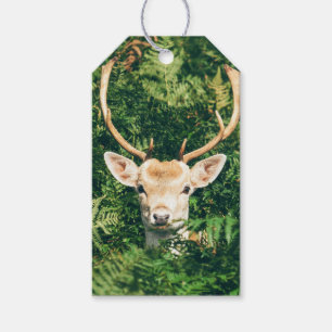 Étiquettes-cadeau Peek a Deer