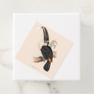 Étiquettes Cadeau Peinture animalière d'antiquités Toucans