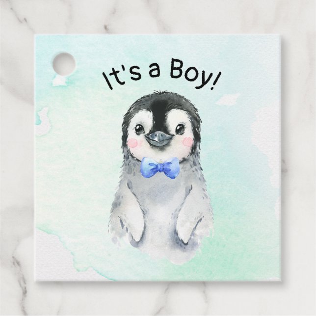 Étiquettes Cadeau Penguin Boy Winter (Devant)