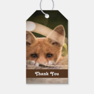 Étiquettes-cadeau Photo de Cute Little Orange Fox