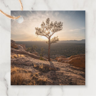 Étiquettes Cadeau Photo de paysage du Nouveau-Mexique