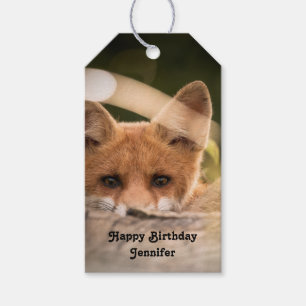 Étiquettes-cadeau Photo d'un joli petit renard orange