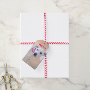 Étiquettes-cadeau Photo mignonne blanc chiot visage rose