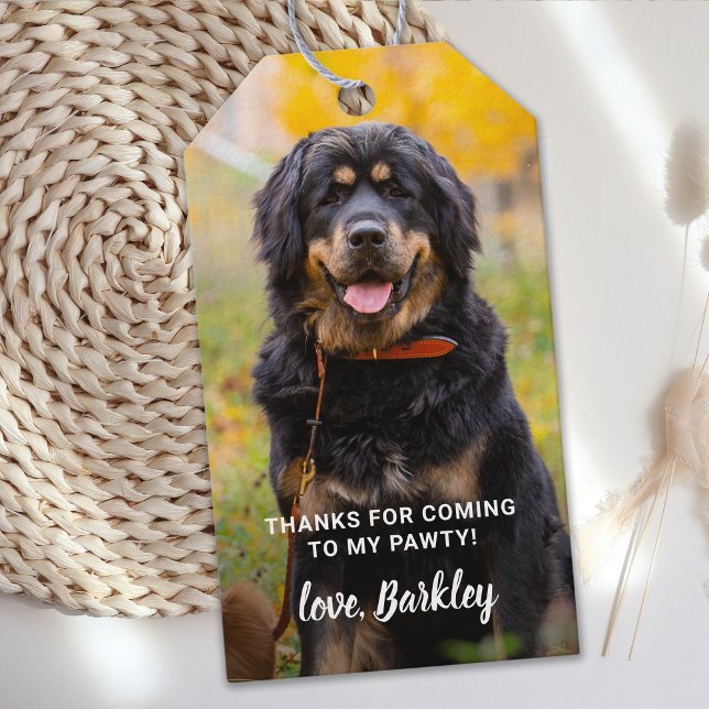 Étiquettes-cadeau Photo personnalisée Chien Chien Chien Anniversaire (Créateur téléchargé)