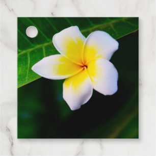 Étiquettes Cadeau Photographie de fleurs de plumeria