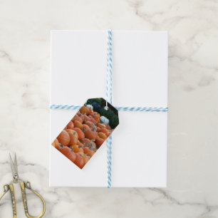 Étiquettes-cadeau Photographie de récolte d'automne des citrouilles 