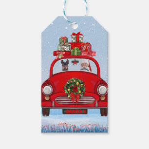 Étiquettes-cadeau Pinscher miniature Chien en voiture avec le Père N