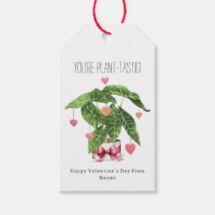 Étiquettes-cadeau Plante - Tastic Houseplant Pun Valentine
