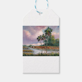Étiquettes-cadeau Pluie de printemps en Floride