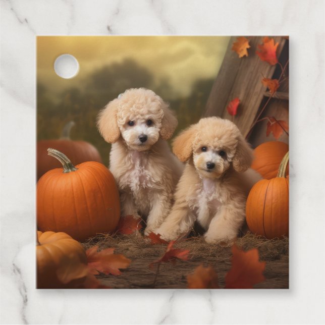 Étiquettes Cadeau Poodle Chiot Automne Citrouille délice (Devant)