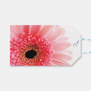 Étiquettes-cadeau Poster Gerbera Daisy