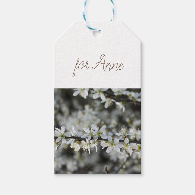Étiquettes-cadeau Printemps, Blossoms blancs Tags cadeaux photo (Devant)